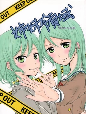 姊妹领域