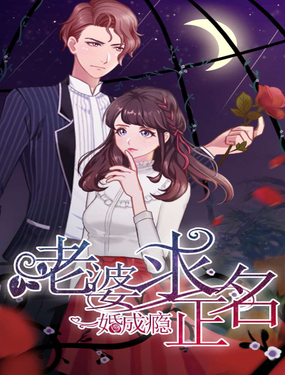 一婚成瘾老婆求正名
