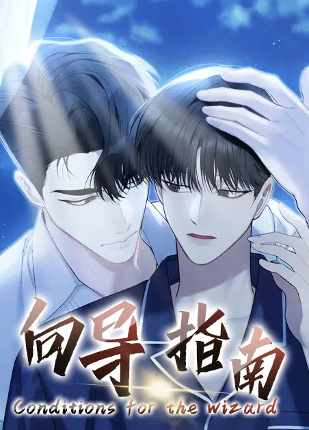 向导指南